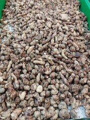 aromatic ginger on the basket