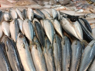 Obraz premium fresh fish on the market
