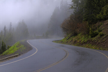 road in the forest