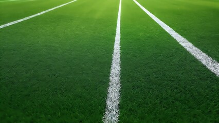 Obraz premium High definition clear soccer field, playground grass photo