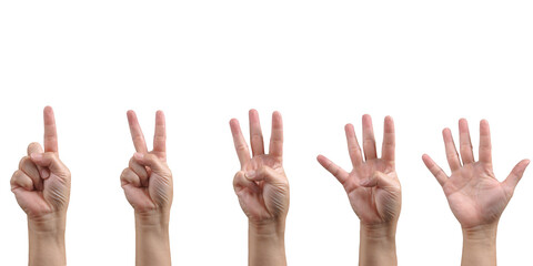 Set of counting Caucasian adult hand signs/ gestures from 1 to 5 cut out, isolated, transparent...