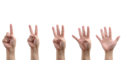 Set of counting Caucasian adult hand signs/ gestures from 1 to 5 cut out, isolated, transparent background - PNG. 