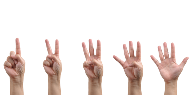 Set of counting Caucasian adult hand signs/ gestures from 1 to 5 cut out, isolated, transparent background - PNG.  - Powered by Adobe