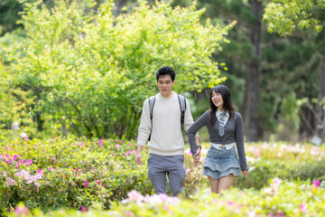 In March, with hydrangeas blooming, a Taiwanese woman in her twenties and a Hong Kong man are enjoying a walk together in a park in Zhongzheng District, Taipei City, Taiwan.