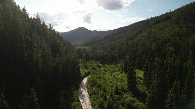 Aerial ascending over creek at sunset in Idaho mountains in st joe national forest