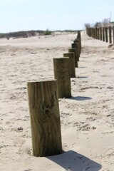 Wooden Beach Poles