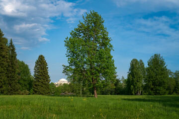 Slavyanka River Valley in the landscape part of the Pavlovsk Palace and Park Complex on a sunny summer day, Pavlovsk, Saint Petersburg, Russia