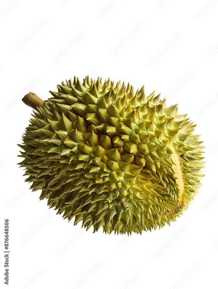 Wall mural a white background picture of a summer fruit durian