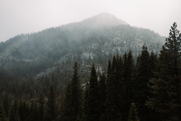 fog in the mountains
