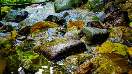Peaceful river creek full of mossy rocks on a calm overcast day