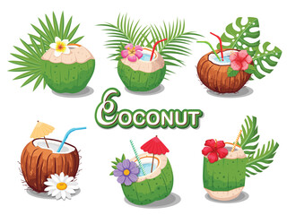Flat vector set of fresh coconuts. Exotic cocktail and flower summer holiday. EPS 10 vector illustration