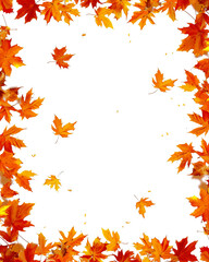 Autumn leaves frame isolated on transparent background. PNG