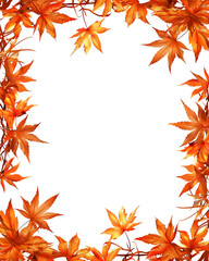 Autumn leaves frame isolated on transparent background. PNG