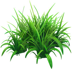 Obraz premium Fresh green grass isolated on transparent background. PNG