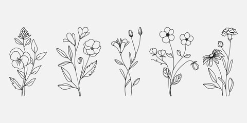 Hand drawn flower bouquet line element vector. Collection of foliage, leaves branch, wildflower, poppy, daisy, sunflower, eucalyptus. Spring blossom illustration design for logo, wedding, tattoo.