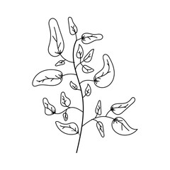 green leaves plant emblem banner eco friendly