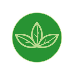 green leaves plant emblem banner eco friendly