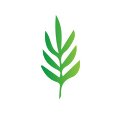 flat green leaves nature botanical