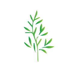 Fototapeta premium flat green leaves nature botanical