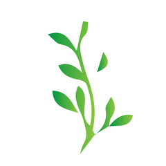 Fototapeta premium flat green leaves nature botanical