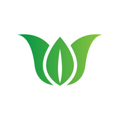 flat green leaves nature botanical