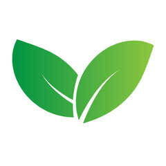 flat green leaves nature botanical