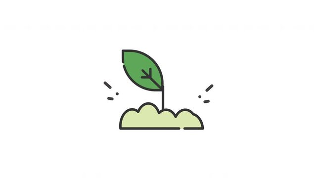 Sprout animated icon with alpha channel. Perfect for project and Explainer Video
