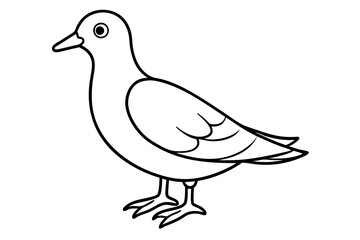 Dovekie icon vector line art illustration