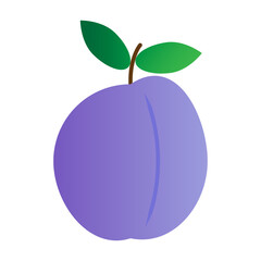 The blue plum. The fruit is isolated on a white background. Vector illustration.