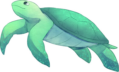 Turtle Watercolor Illustration