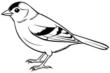 Chaffinch icon vector line art illustration
