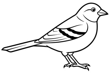 Chaffinch icon vector line art illustration