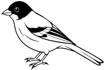 Chaffinch icon vector line art illustration