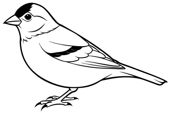 recommend clip art: Chaffinch icon vector line art illustration