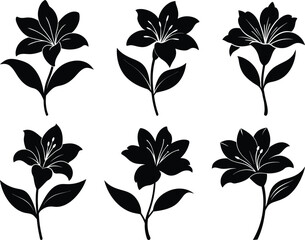 Graceful Alstroemeria Silhouettes, Elegant Alstroemeria Floral Shadows, Silhouetted Alstroemeria Bouquet