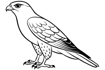 Obraz premium Cooper's Hawk icon vector line art illustration