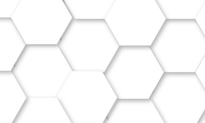 Abstract white hexagonal geometric background with shadow. Luxury White 3D futuristic honeycomb mosaic white background. Abstract white lines background. Vector Illustration.