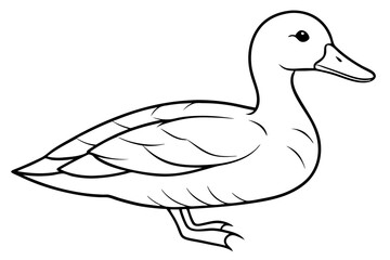 duck vector icon isolated on white background