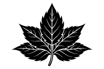 Frost leaf icon silhouette vector illustration