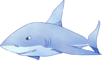 Shark Watercolor Illustration