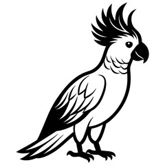 Parrot Vector Illustration Design