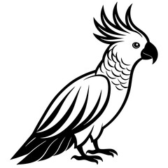 Parrot Vector Illustration Design
