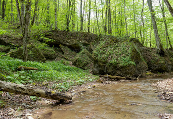 Fototapeta premium spring, the source of the river originating in a mountainous area, a day in a nature park,walking along the canyon