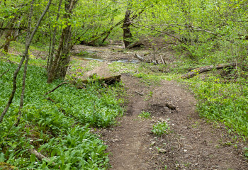 spring, the source of the river originating in a mountainous area, a day in a nature park,walking along the canyon