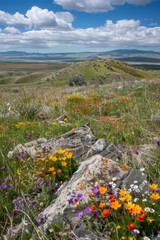 An ancient altar atop a windswept hill, overlooking a sprawling valley dotted with colorful wildflowers, Generative AI