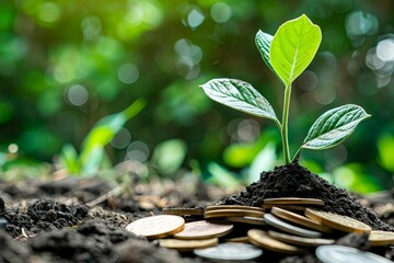 Growing Investments: A close-up of a plant sprouting from a pile of coins or currency notes, symbolizing the growth of investments and financial prosperity.