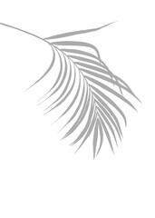 Grey silhouette palm leaves and trees, on isolated white background , A illustration the design is simple and features nature elements.