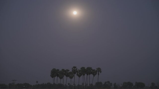 Time lapse full Moon over  Borassus flabellifer, doub palm, palmyra palm, tala or tal palm, toddy palm, lontar palm, wine palm, or ice apple, is a fan palm native 