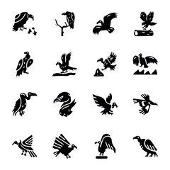 Bundle of Scavenging Bird Solid Icons 

