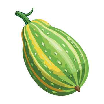 recommend clip art: a lifelike bitter gourd against a white backdrop